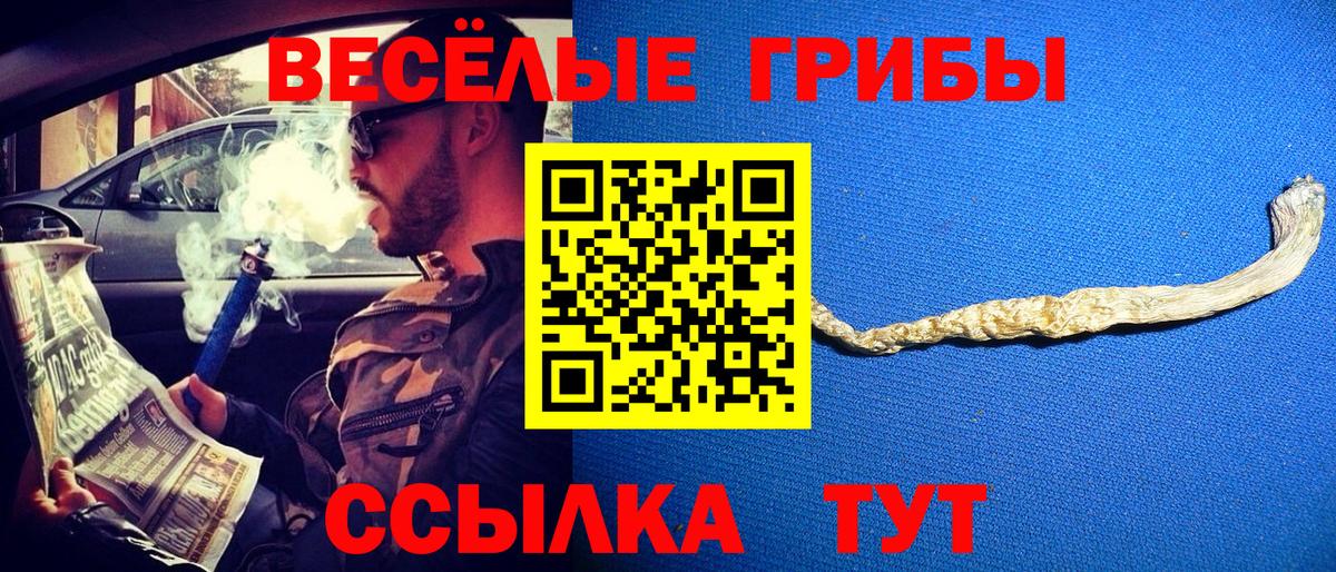 Сочи  Псилоцибиновые грибы Psilocybine cubensis  Вход с VPN  Псилоцибиновые грибы ЛСД 